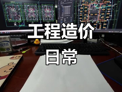 从大学生到工程造价师读后感1000字,从大学生到造价工程师下载