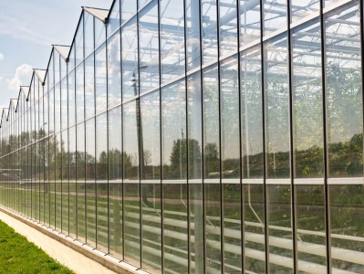 温室设计,温室大棚设计