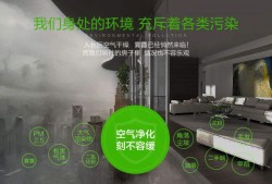 室内空气污染现状,室内空气污染现状及其成因分析论文