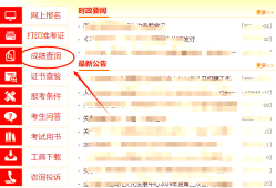 监理工程师成绩查询手机怎么查询,信息监理工程师成绩查询