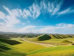 新疆结构工程师证书领取新疆结构工程师证书领取条件