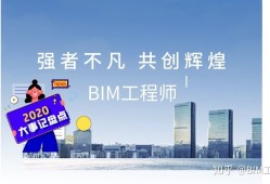 关于bim工程师的工作标准的信息