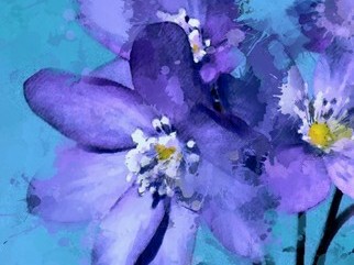 MPT下载软件mpt下载