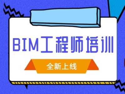 bim专业工程师需要掌握什么,bim工程师入门操作