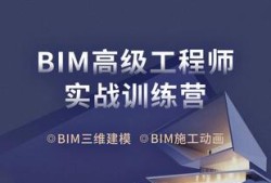 bim工程师专业技能培训教材bim工程师高效直通班