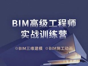 bim工程师专业技能培训教材bim工程师高效直通班