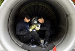 飞机维修工程师学什么专业飞机结构维修工程师待遇