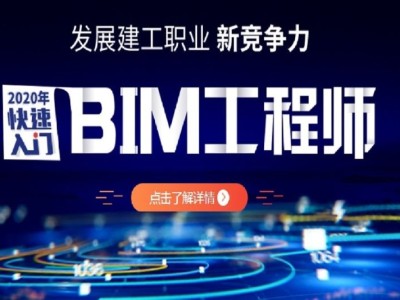 关于bim工程师一月多少钱收入的信息