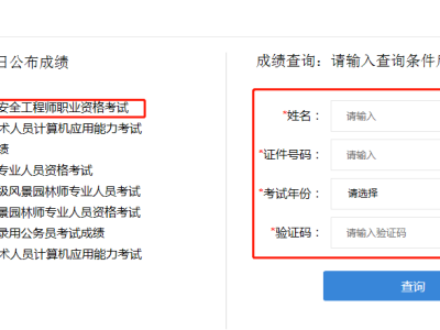 注册安全工程师证书查询网安全工程师查询网
