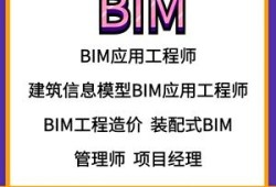 bim高级项目管理工程师,bim高级项目管理师挂靠费多少钱一年