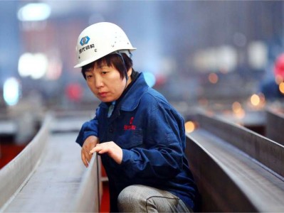 李燕霞中国机械工业联合会总工程师bim工程师黄燕霞