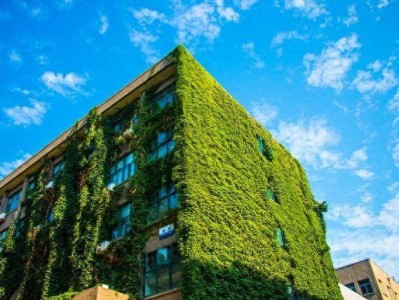 bim工程师证书有用吗能挂号不,bim工程师证书有用吗能挂号不去吗