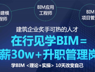bim二级工程师有什么作用和意义,BIM二级工程师有什么作用