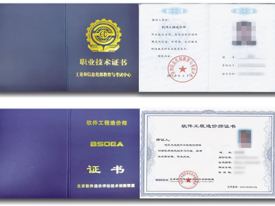 上海市造价工程师上海市造价工程师评选中级经济师流程视频