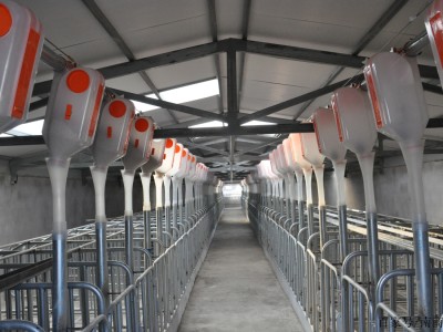 猪圈设计图农村私人猪圈设计图