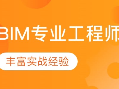 bim项目工程师bim项目工程师证书有用吗
