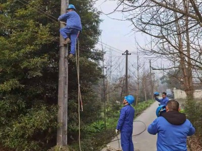 农网改造工程施工劳务分包,农网改造工程