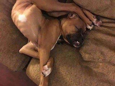 安全工程师练题狗,安全工程师题库软件