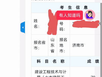 一级造价工程师成绩查询时间一级造价工程师什么时候查成绩