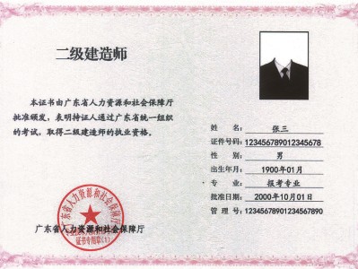 造价工程师注册号,造价工程师注册号什么时候出来的