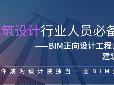 怎么练成bim工程师,想学bim怎么学
