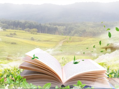 二级建造师证书失效二级建造师证书失效是什么意思