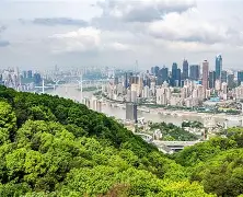 重庆注册安全工程师准考证打印时间重庆2020注册安全工程师考试证书领取时间 第1张 重庆注册安全工程师准考证打印时间重庆2020注册安全工程师考试证书领取时间 第1张