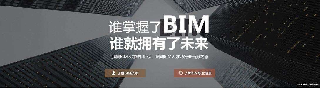 关于bim工程师的工作标准的信息  第2张