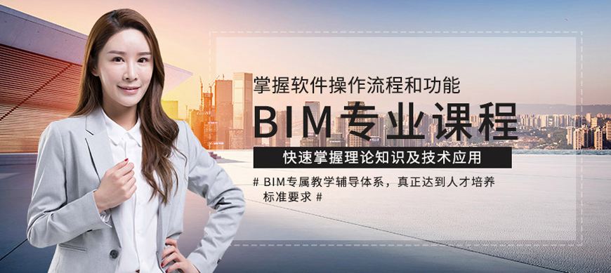国际BIM工程师,bim工程师国家官网  第1张