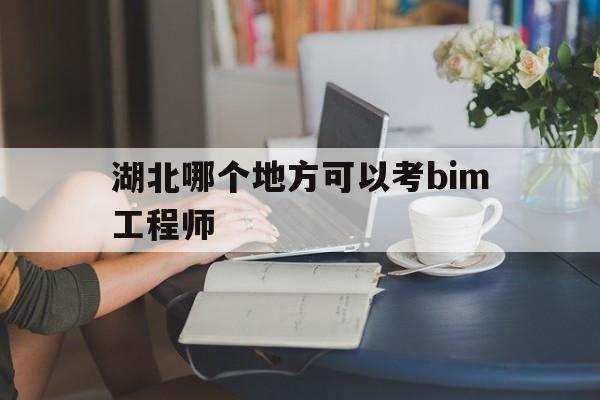 湖北哪个地方可以考bim工程师,湖北省b证考试  第1张